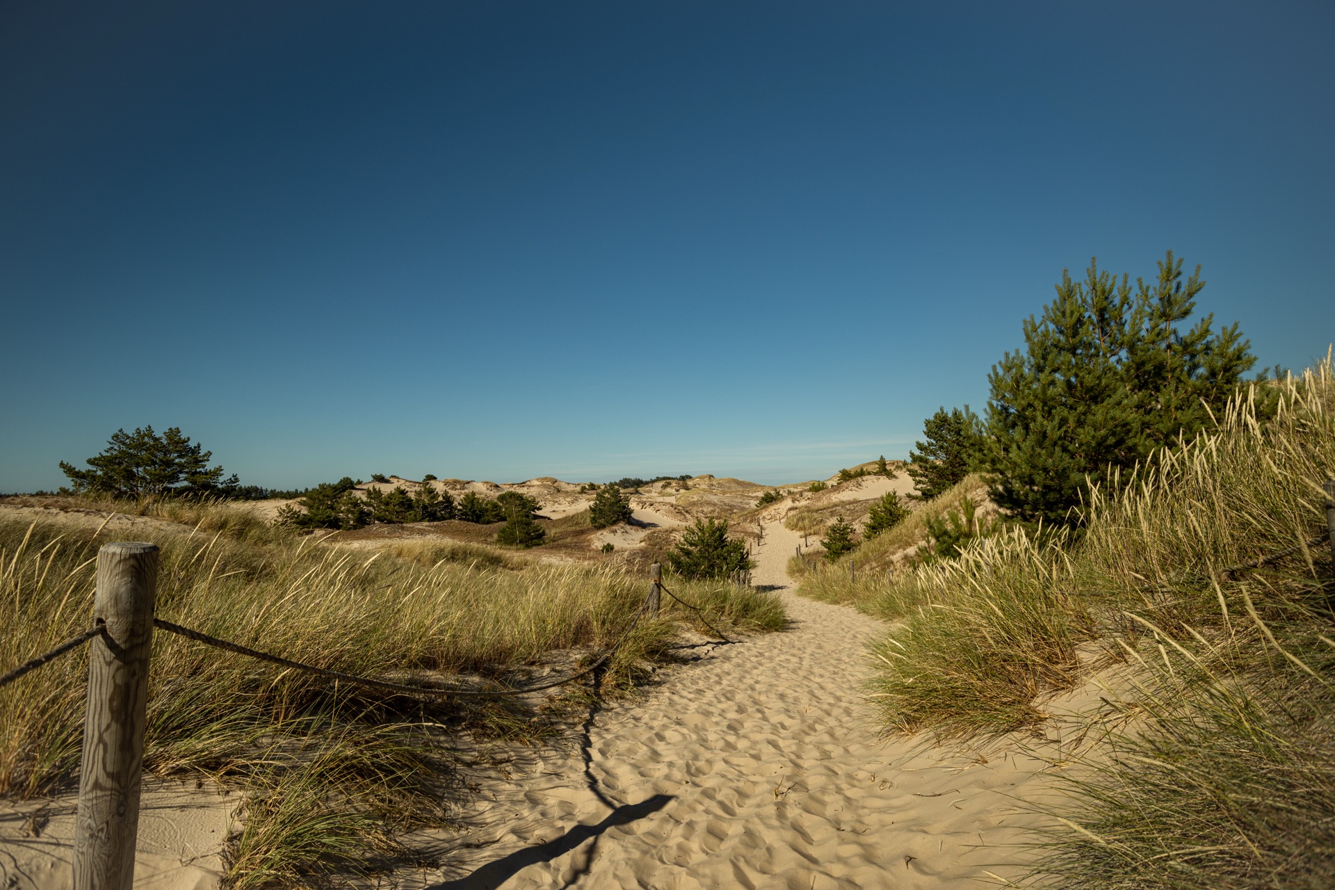 Baltic coast panorama